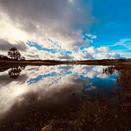 Nyaraló L'histoire Du *