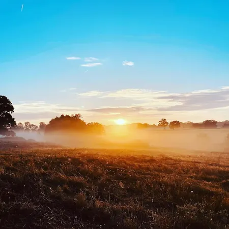 L'histoire Du * Lézignac-Durand