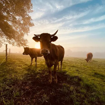 L'histoire Du Nyaraló *