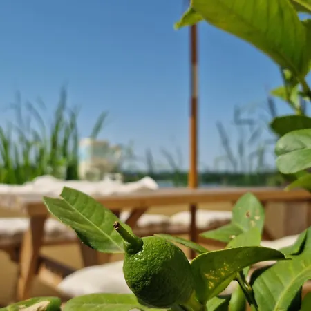L'histoire Du Holiday home